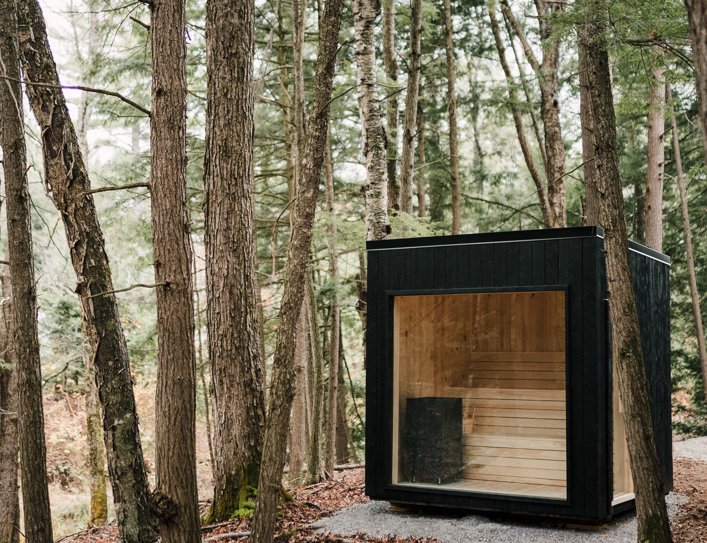 The Super Much 87 with optional floor to ceiling window and Shou Sugi ban siding
