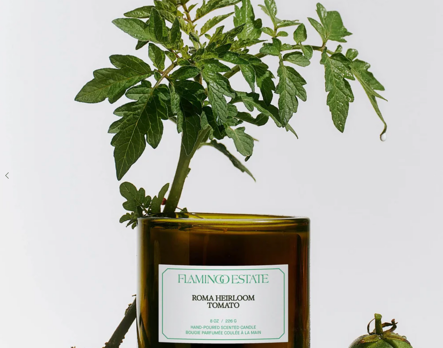 Flamingo Estate Candle