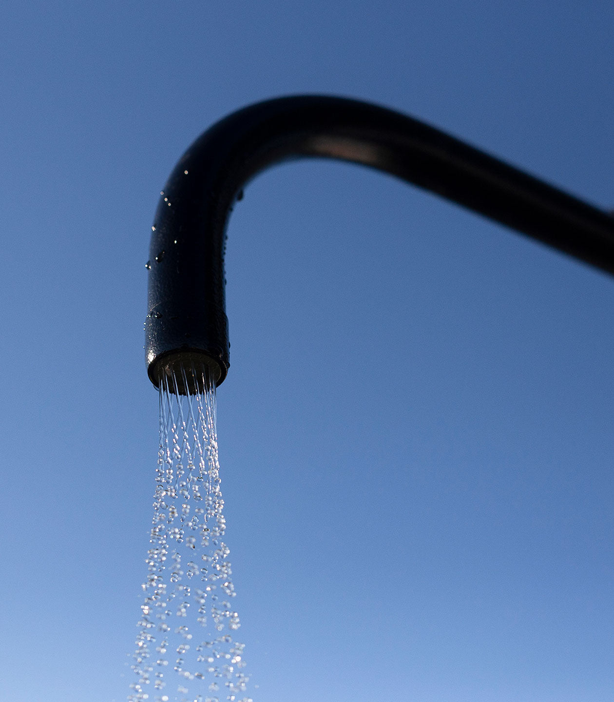 The Garden Shower