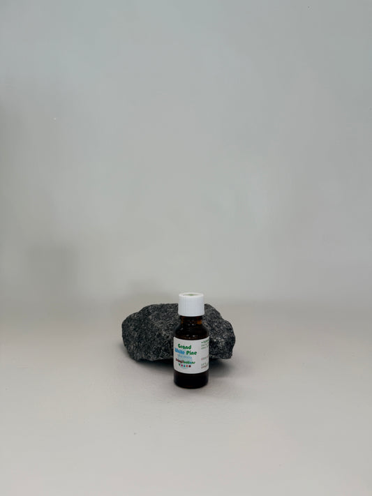 Grand White Pine Essential Oil