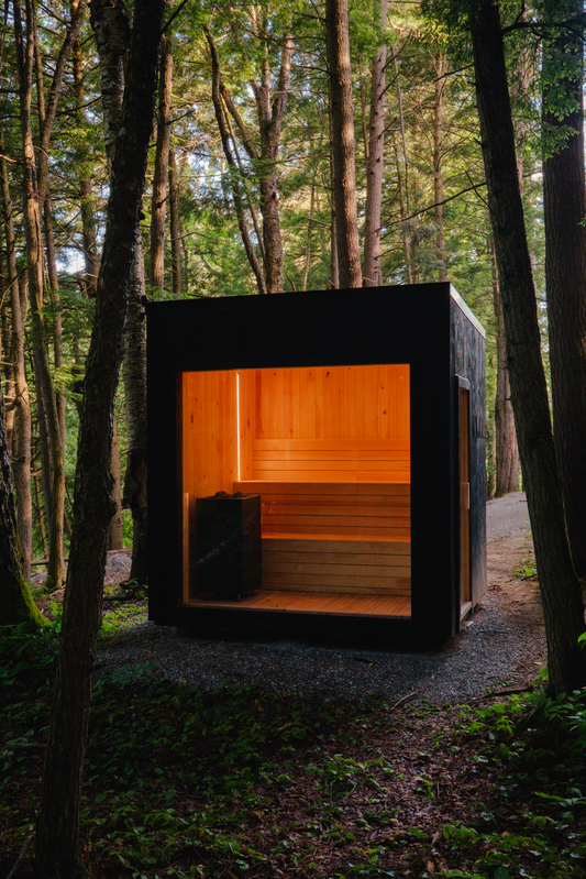 Modern sauna in a forest setting with warm interior lighting.
