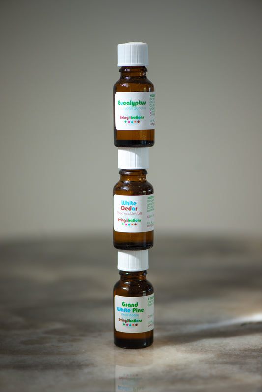 White Cedar Essential Oil
