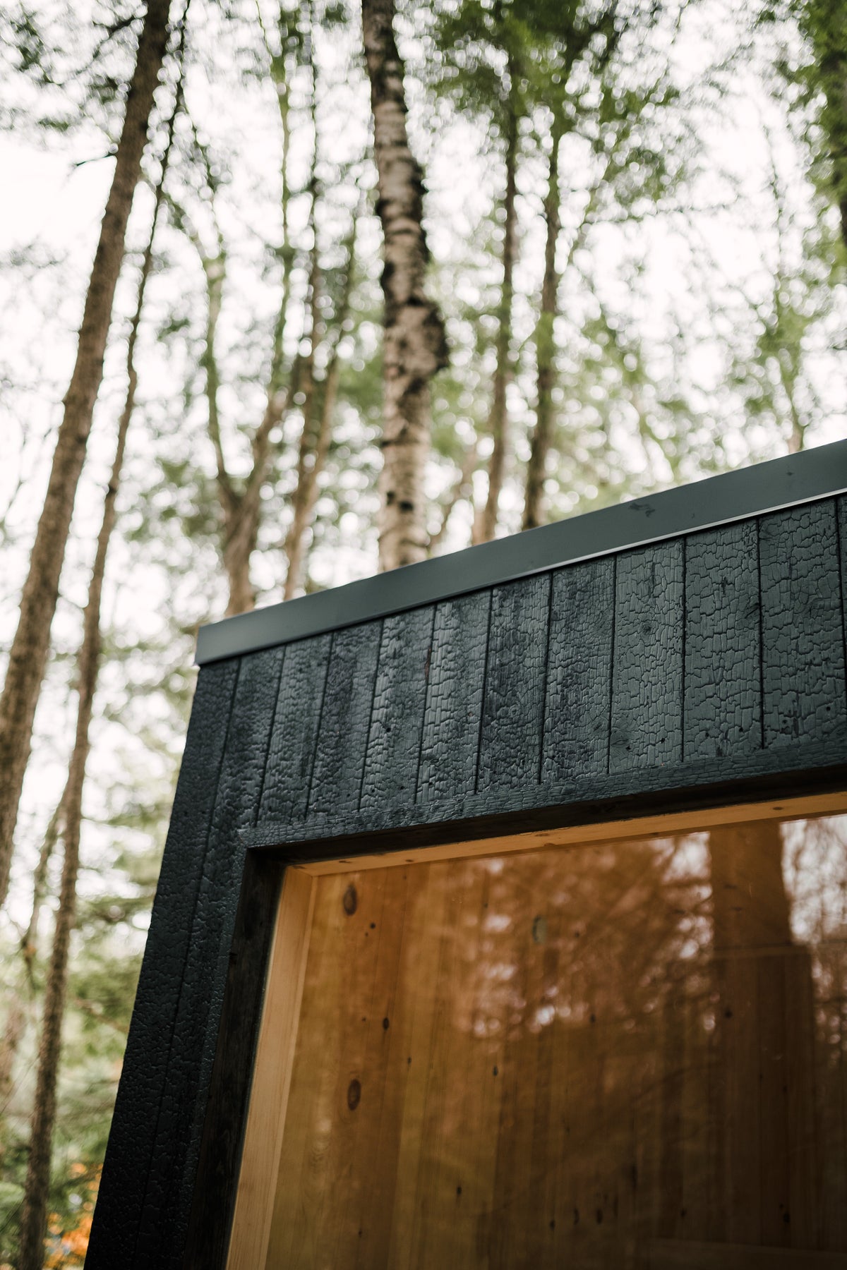 The Sip Sauna — 8-Person Wood