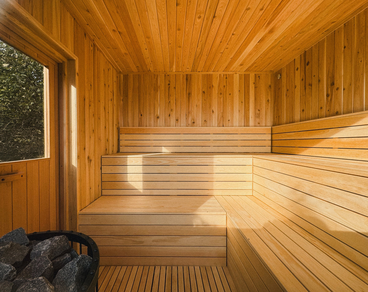 Inside a Sip sauna: Ontario-grown wood walls, ceiling and tiered benches in afternoon light